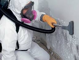 Mold Odor Removal Services in Almont, MI